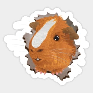 Guinea Pig Surprise! Sticker